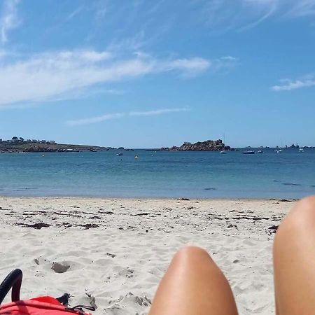 Les Portsallaises Piscine Ou Spa A 300M De La Plage Ploudalmézeau Kültér fotó